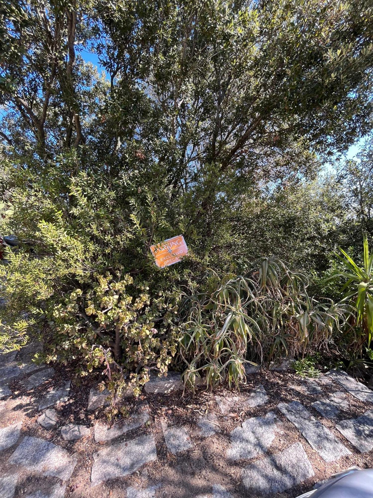Venti Di Vacanza - Levante & Grecale Olbia Exteriör bild