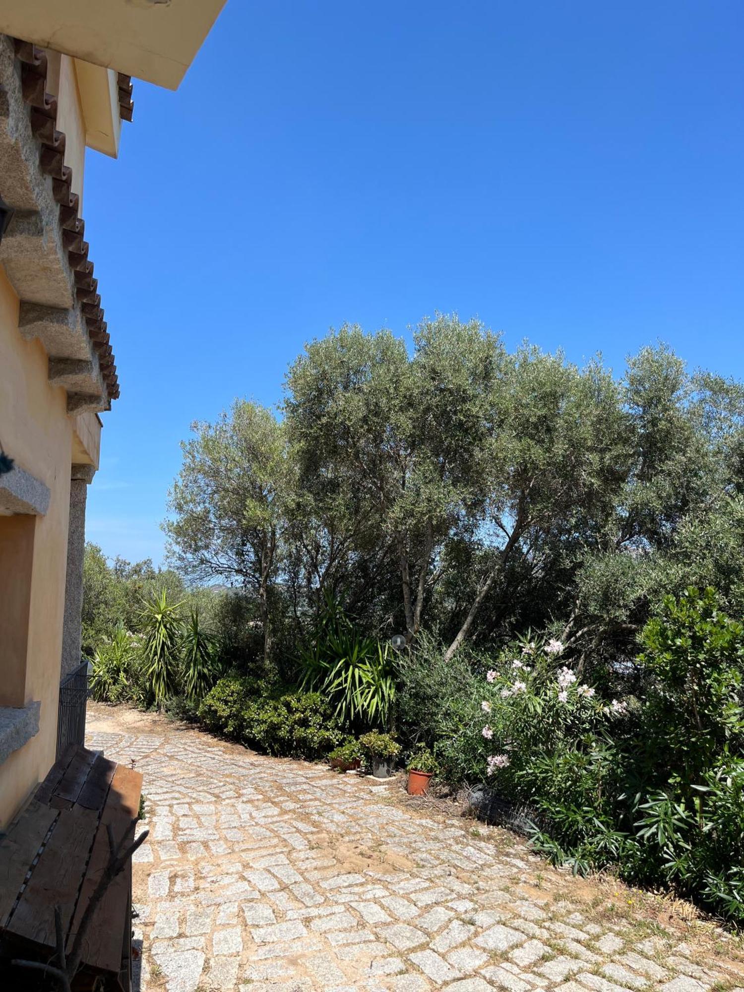 Venti Di Vacanza - Levante & Grecale Olbia Exteriör bild