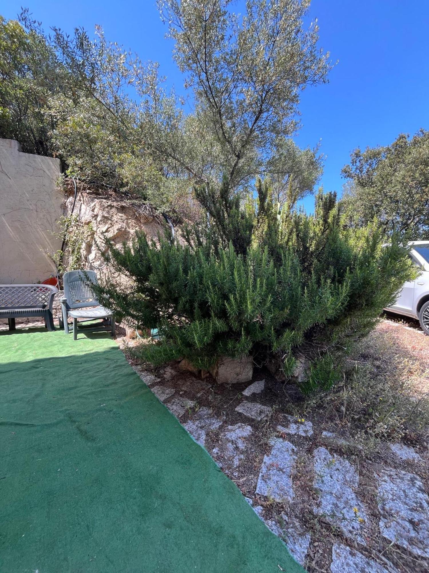 Venti Di Vacanza - Levante & Grecale Olbia Exteriör bild