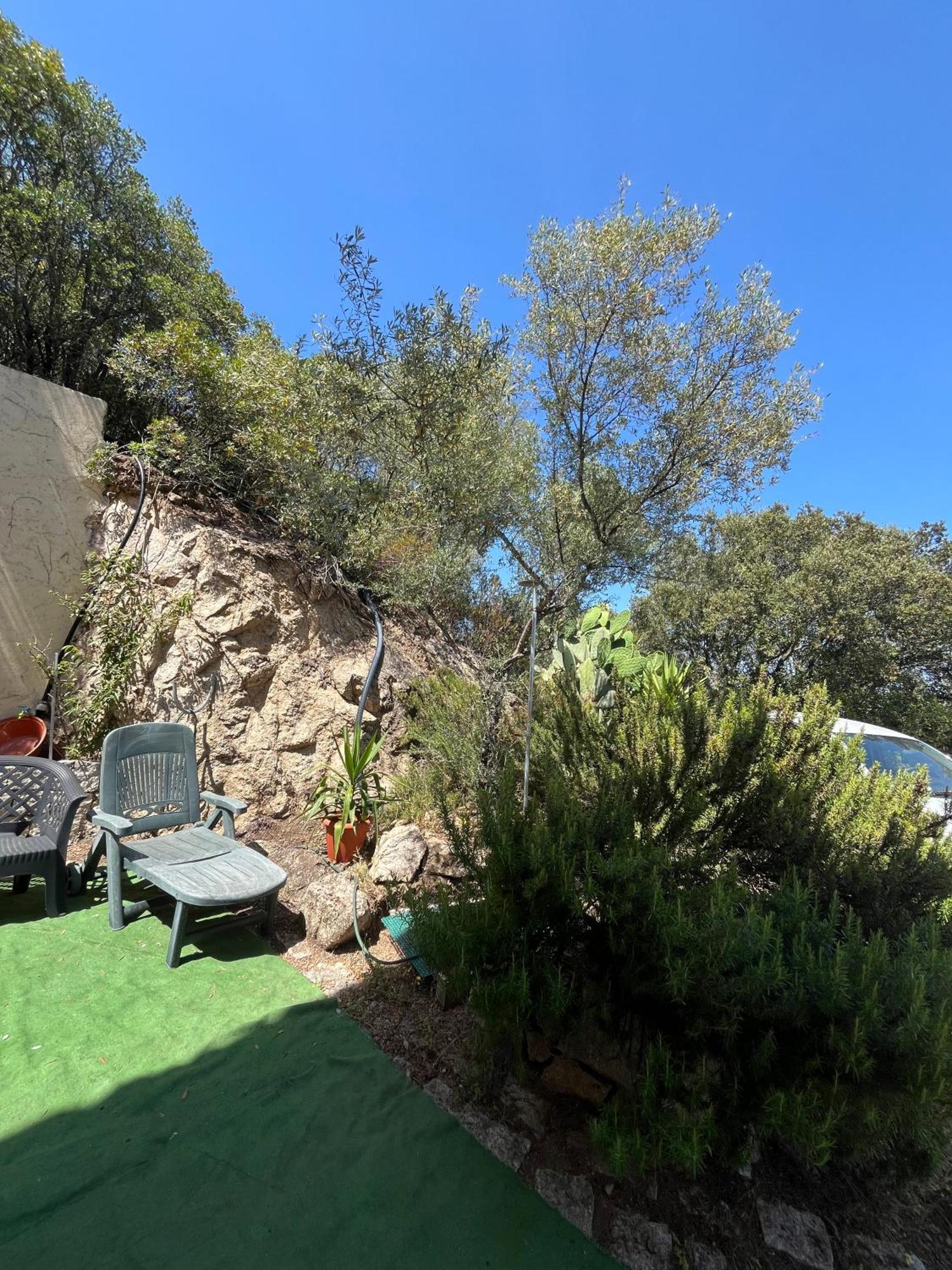 Venti Di Vacanza - Levante & Grecale Olbia Exteriör bild